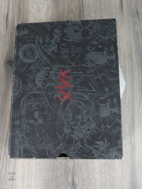 DC shoes x Slayer court graffik skate buty chunky 2023